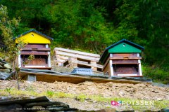 martigny_culture_170506_-10