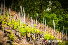 martigny_culture_170506_-39