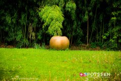 martigny_culture_170506_-74
