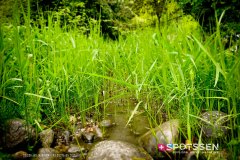 martigny_culture_170506_-76