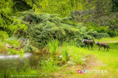 martigny_culture_170506_-85