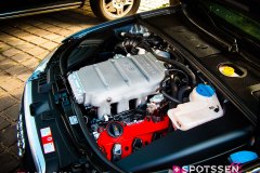 ingo_060929__-16