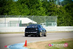 laquais_080809__-82