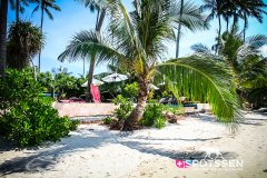 kohsamui_090306__-18