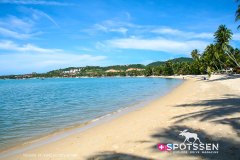 kohsamui_090306__-39