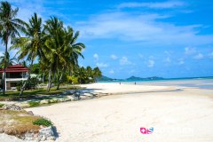 kohsamui_090306__-49