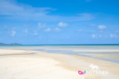 kohsamui_090306__-51