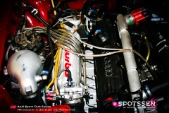 ingo_100501__-26