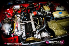 ingo_100501__-27