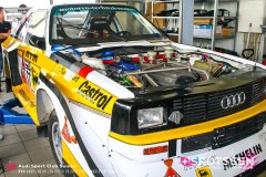 ingo_100501__-5