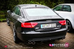 ingo_100501__-60