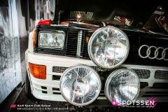 ingo_100501__-9