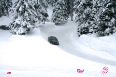 ascsflaine_120129__-81