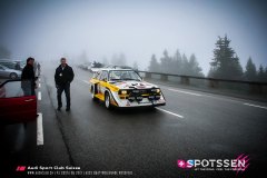 ql2013__-88