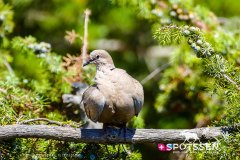 sardaigne_160718__-23