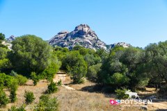 sardaigne_160718__-77