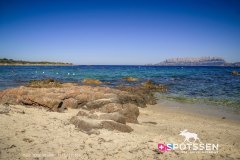 sardaigne_160718__-8