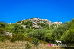 sardaigne_160718__-81