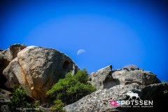 sardaigne_160718__-85