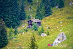 lafouly_160828__-19