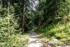 lafouly_160828__-24