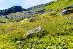 lacvaux_160903_-(62)