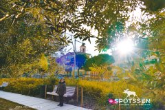 nice_170101__-134