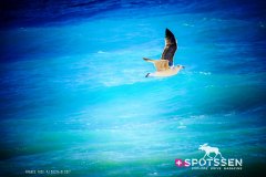 nice_170101__-28