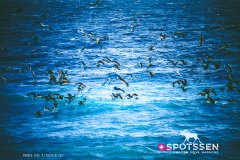 nice_170101__-32