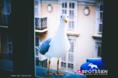 nice_170101__-74