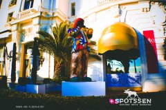 nice_170101__-87