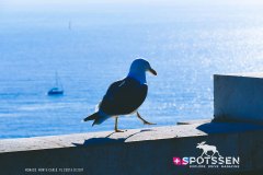 monaco_170101__-21