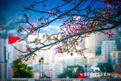 monaco_170101__-57