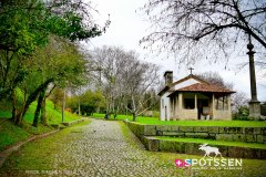 guimaraes_170302_-6