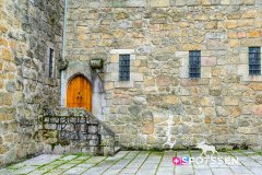 guimaraes_170302_-8