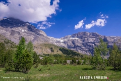 derbo_170528_-(1)