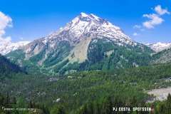 derbo_170528_-(103)