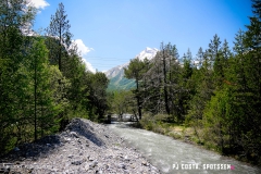 derbo_170528_-(109)