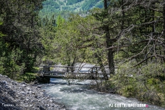 derbo_170528_-(110)