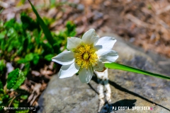 derbo_170528_-(12)