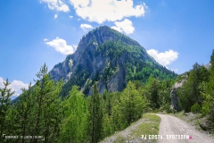 derbo_170528_-(120)