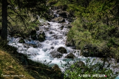 derbo_170528_-(123)