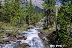 derbo_170528_-(127)