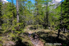 derbo_170528_-(128)