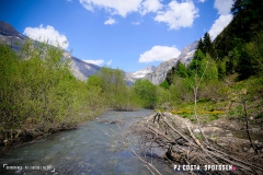 derbo_170528_-(132)