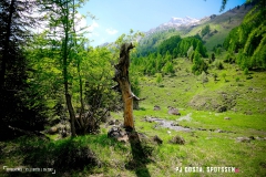 derbo_170528_-(134)