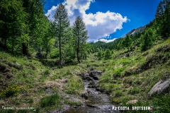 derbo_170528_-(142)