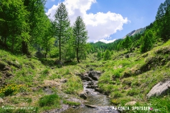 derbo_170528_-(143)