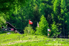 derbo_170528_-(149)