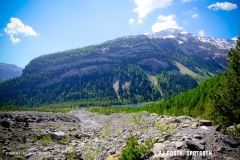 derbo_170528_-(15)